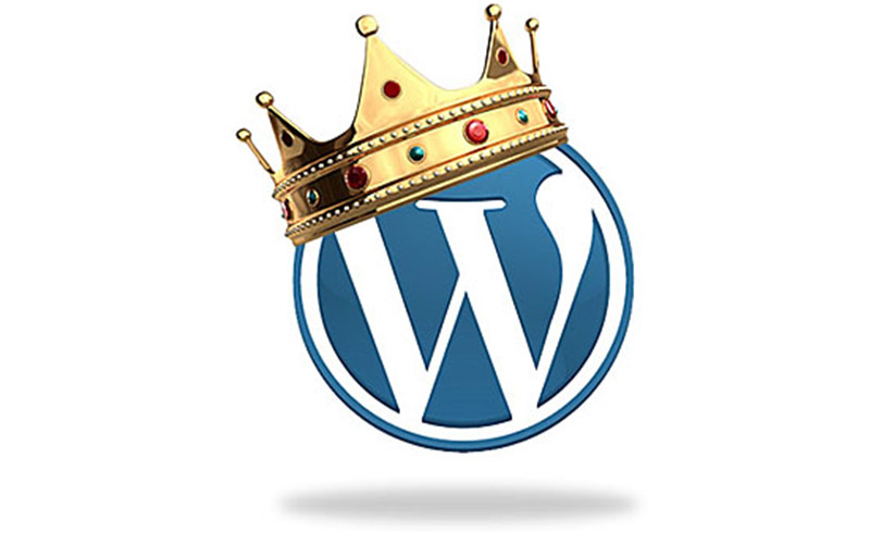 WordPress-Wins-On-All-Ends