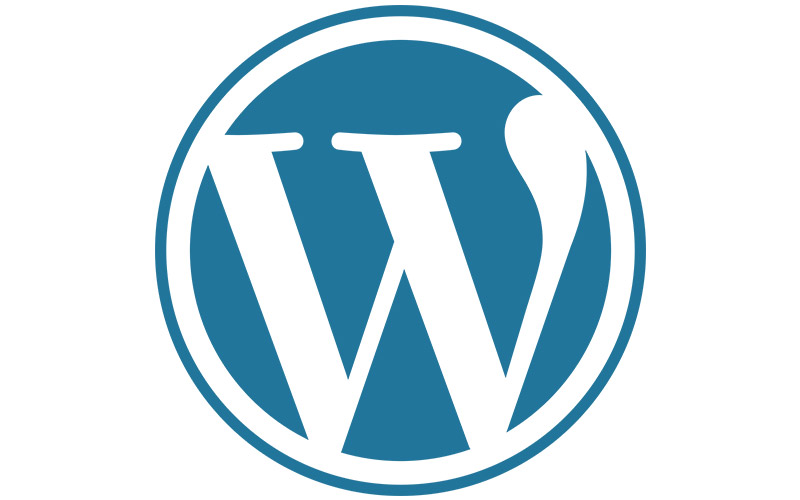 Wordpress Website Themes