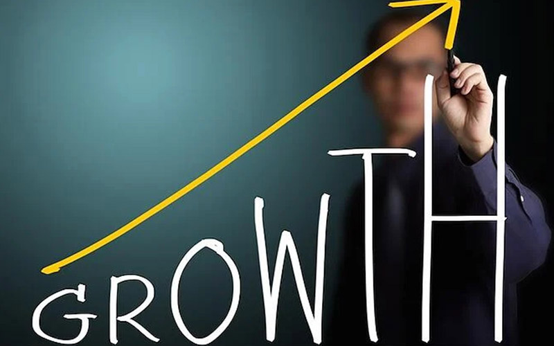 Website Business Growth
